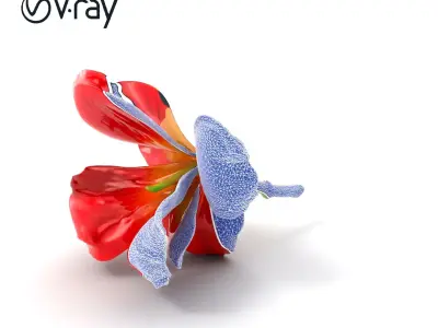 Freesia Red Petal Realism Model Pack Low-poly 3D model