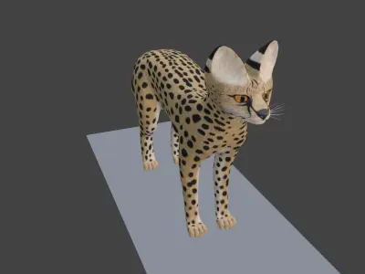 Serval Cat Game Ready Model Unreal Engine  3D model