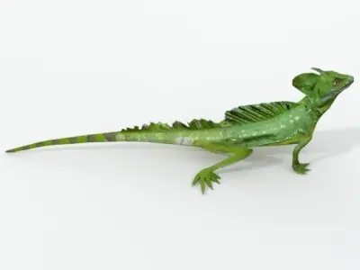 Common Basilisk Low-poly 3D model