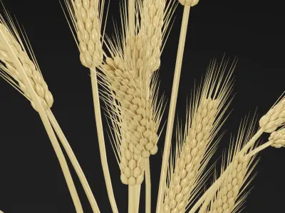 Decorative Set 3D model