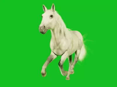 Horse running on screen - 3D model