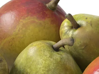 Nested bowl with mango and pears 3D model