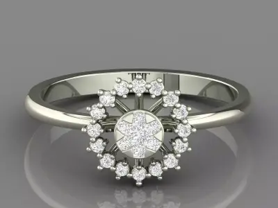 PRESSURE SETTING RING 19 3D print model