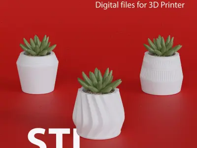 Vase 01 - 3D Printers 3D model