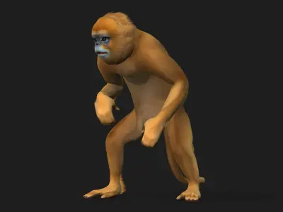 Monkey-A1 3D model