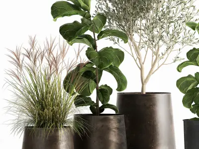 Houseplants in a flowerpot for the interior 1029 3D model