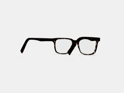 Chamberlain Eyeglasses in Whiskey Tortoise 3D model