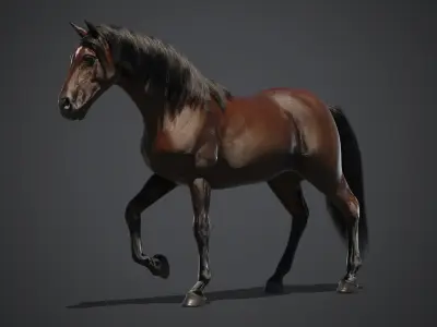 Horse animated 3D model