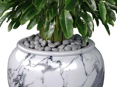 Decorative Fern in a large white marble vase urn pot 3D model
