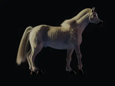 Horse with Mane RIGGED Model 3D model