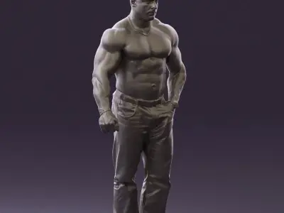 Gymguy toples 0768 3D Print Ready 3D print model