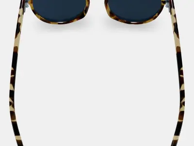 Wright Low Bridge Fit Sunglasses in Walnut Tortoise 3D model