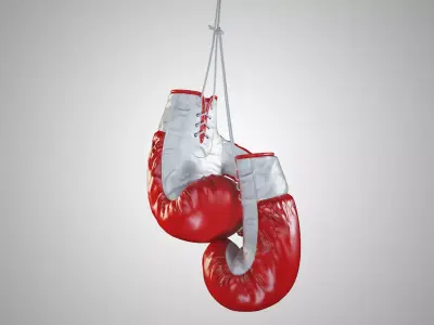 Boxing gloves 3D model