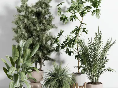 indoor plant 514 3D model
