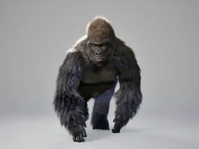 Gorilla Animated UNREAL project  Maya base rig 3D model