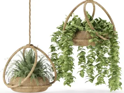 boho-hanging-plants 3D model