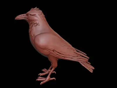 Crow Animal Sculpture 3D print model get