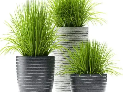 Grass plants 3D model