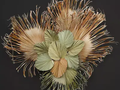 Wall decorations made of dry palm leaves 229 3D model