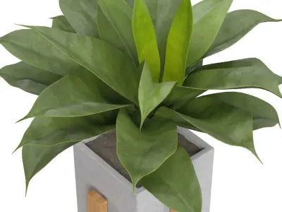 Artificial Agave Succulent Plant PBR 3D model