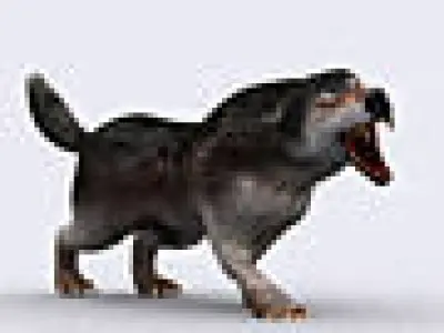 3DRT - Fantasy Animal Wolf Low-poly 3D model