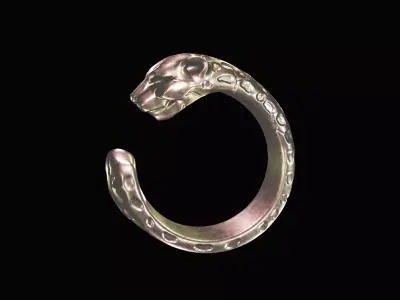 Jaguar Ring 3D print model