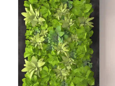 Fytowall plant wall hanging on wall 3D model
