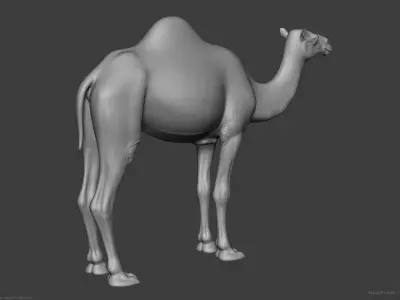 Camel Dromedary - Highpoly Sculpture 3D model