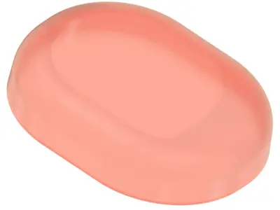 Exquisite Soap Dish 3D print model