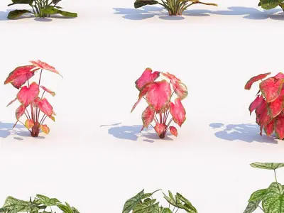 Grass and Modern Flowers Shrubs 3D model