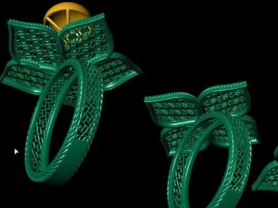 New arabic fuison rings 3D print model