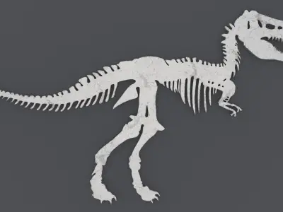 Dinosaur Skeleton - Printable 3D print model
