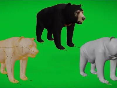 Malayan Sun Bear Low-poly 3D model
