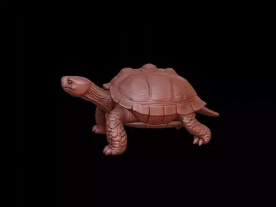 Turtle Animal Sculpture 3D print model get