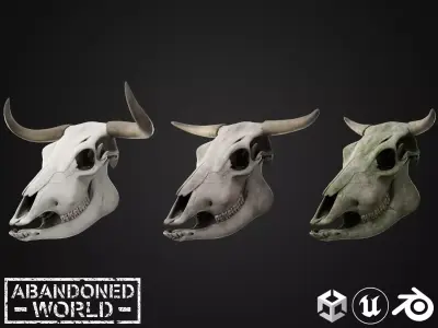 Cow Skull Low-poly 3D model buy