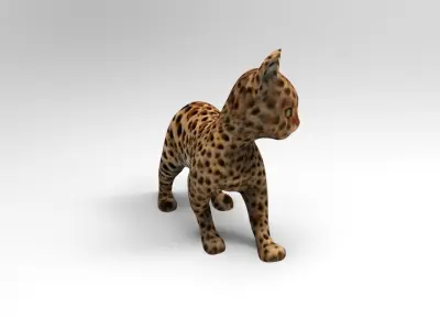 Wild Cat Rigged model Low-poly 3D model