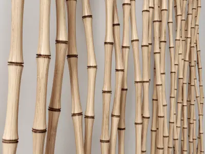 Bamboo thin branch decor n1 3D model
