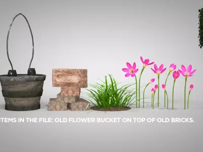 Flower - Pink Nature 3D Model 3D model