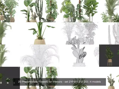 20 Photorealistic Flowers for Interiors - set 210 211 212 213 3D Model Collection