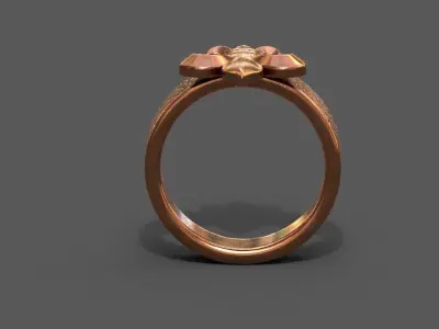 High-Quality 3D Ring Model 3D model