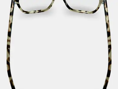 Hughes Eyeglasses in Marzipan Tortoise 3D model