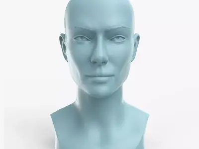 Woman Head Print Ready 3D model
