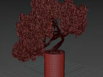 indoor plant 04 3D model