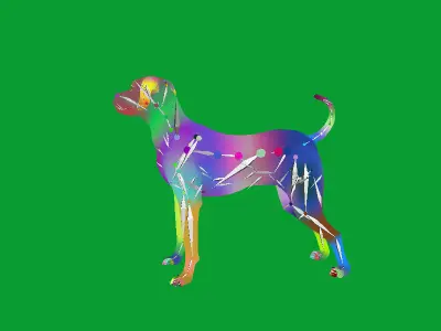 Afador Dog Low-poly 3D model