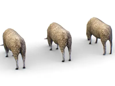 Low Poly Farm Sheep Low-poly 3D model