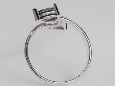 adjustable ring 3D print model