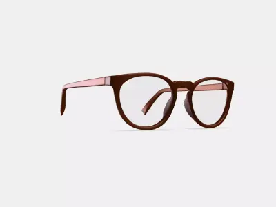 Amari Eyeglasses in Arabica Matte 3D model