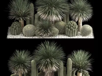 Plants Desert Flowerbed With Cactus 3D model