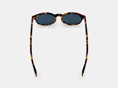 Renton Sunglasses in Black Oak Tortoise 3D model