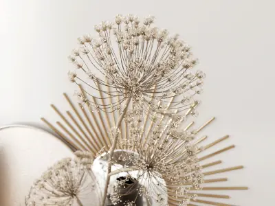 Set with Heracleum 3D model